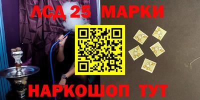 гидропоника Гусев