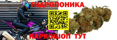 гашишное масло Гусь-Хрустальный