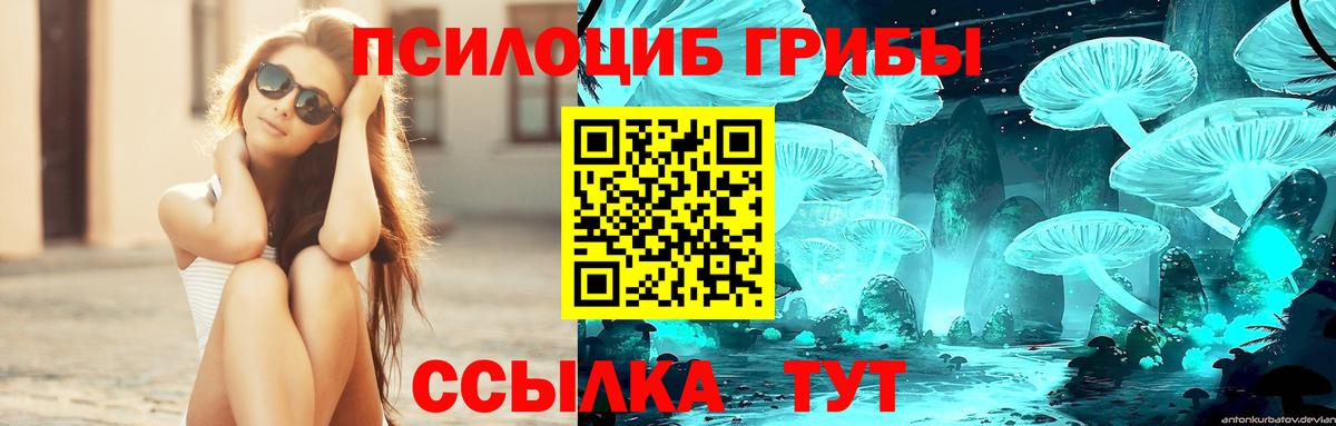 наркотики  Псилоцибиновые грибы прущие грибы  Вход с VPN  Жигулёвск 