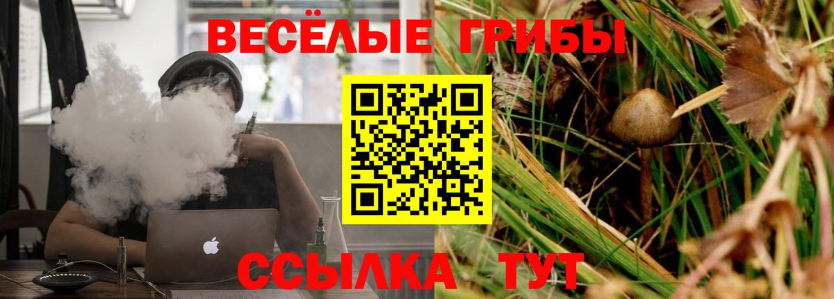Псилоцибиновые грибы мухоморы Жигулёвск